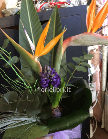 fiori